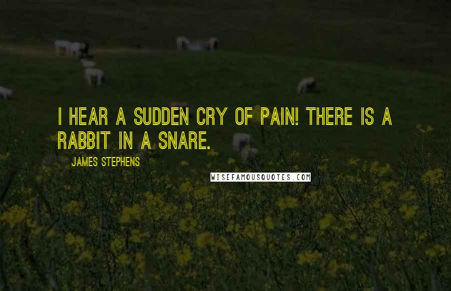 James Stephens Quotes: I hear a sudden cry of pain! There is a rabbit in a snare.