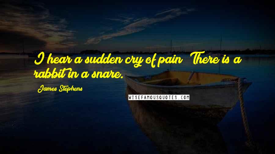 James Stephens Quotes: I hear a sudden cry of pain! There is a rabbit in a snare.