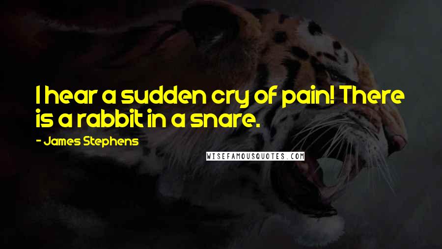 James Stephens Quotes: I hear a sudden cry of pain! There is a rabbit in a snare.