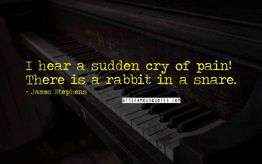 James Stephens Quotes: I hear a sudden cry of pain! There is a rabbit in a snare.