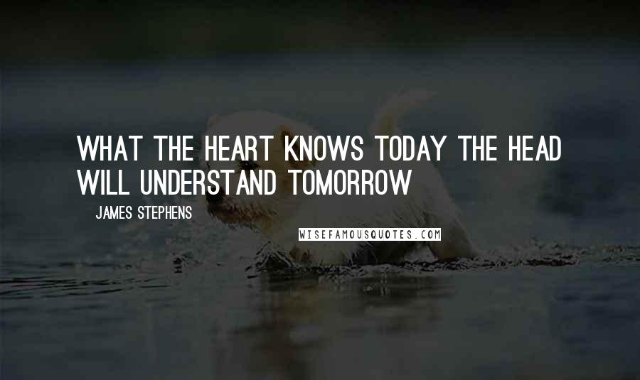 James Stephens Quotes: What the heart knows today the head will understand tomorrow