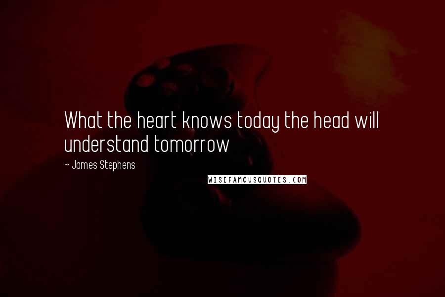 James Stephens Quotes: What the heart knows today the head will understand tomorrow