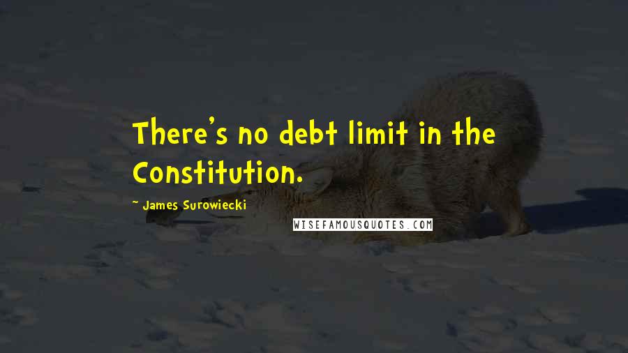 James Surowiecki Quotes: There's no debt limit in the Constitution.