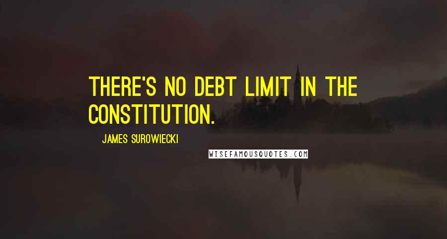 James Surowiecki Quotes: There's no debt limit in the Constitution.