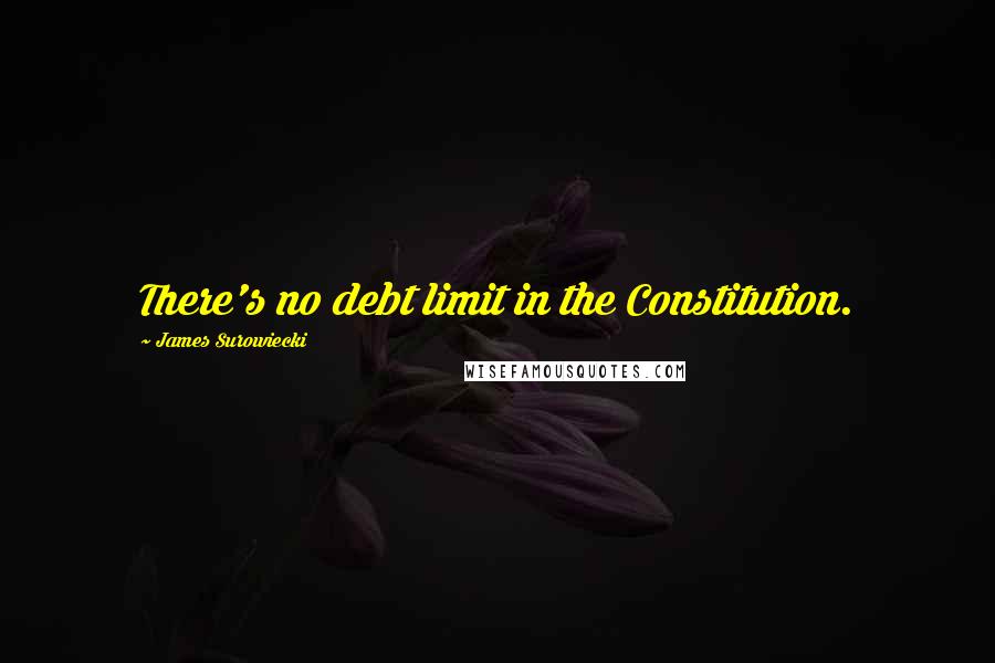 James Surowiecki Quotes: There's no debt limit in the Constitution.