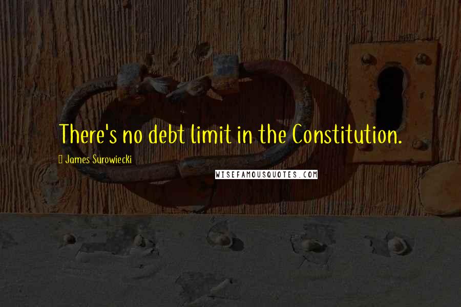 James Surowiecki Quotes: There's no debt limit in the Constitution.