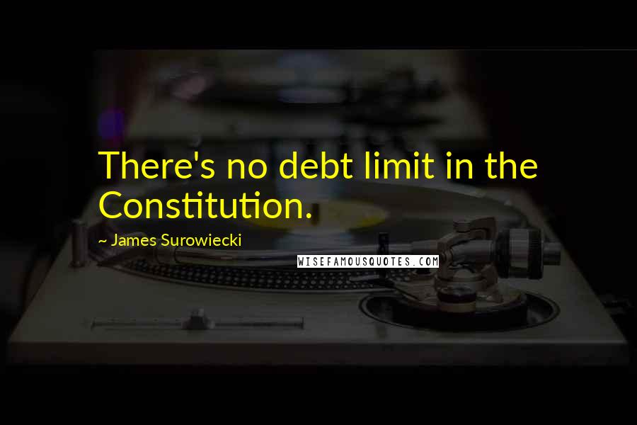 James Surowiecki Quotes: There's no debt limit in the Constitution.