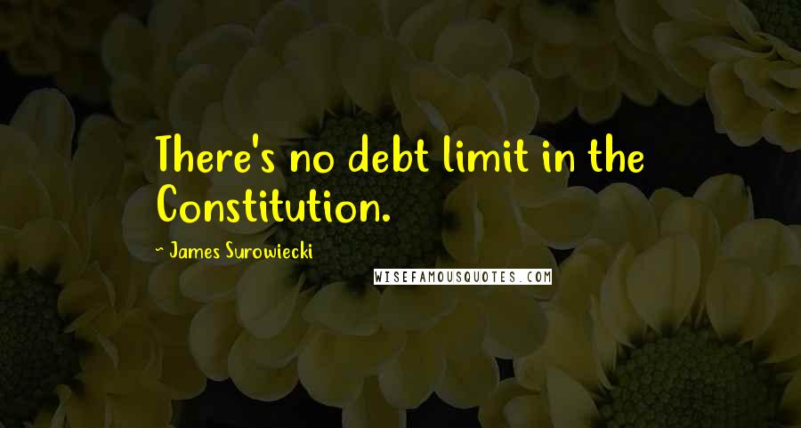 James Surowiecki Quotes: There's no debt limit in the Constitution.