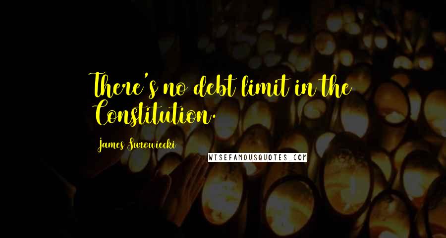 James Surowiecki Quotes: There's no debt limit in the Constitution.