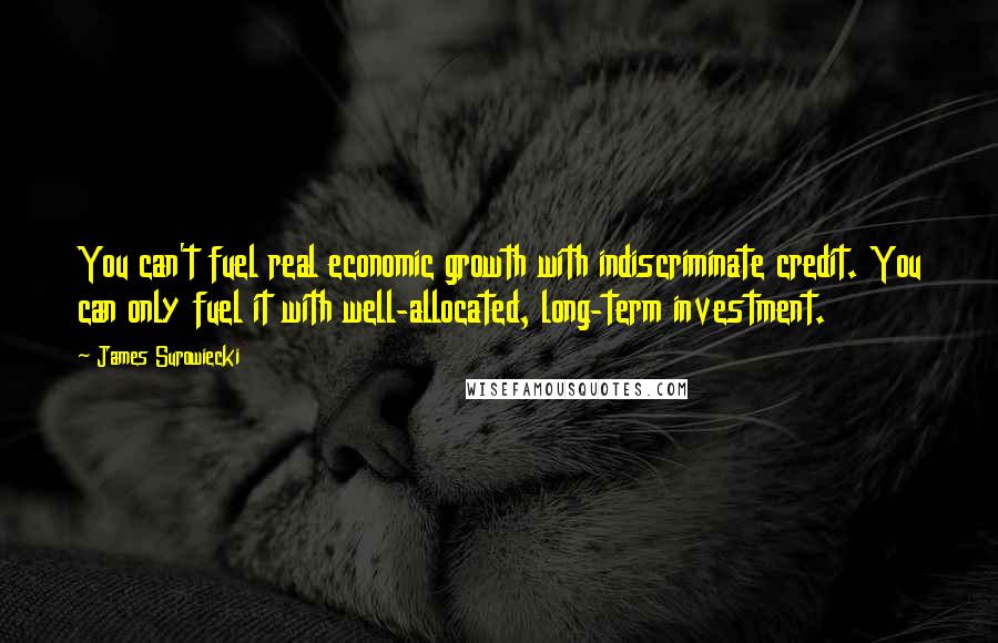 James Surowiecki Quotes: You can't fuel real economic growth with indiscriminate credit. You can only fuel it with well-allocated, long-term investment.