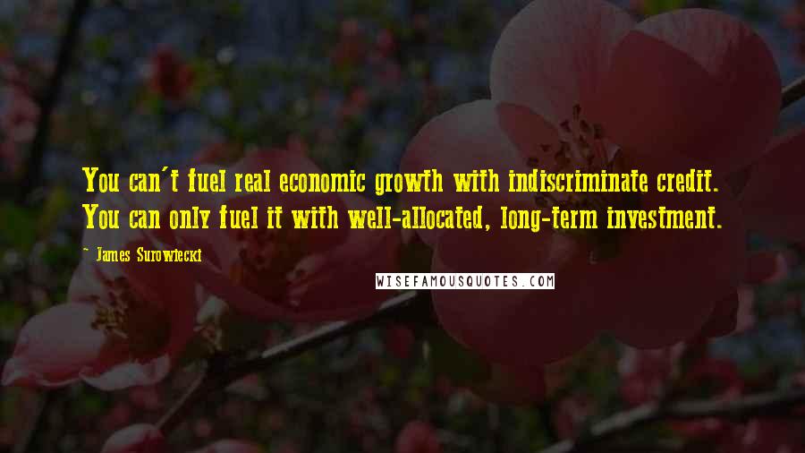 James Surowiecki Quotes: You can't fuel real economic growth with indiscriminate credit. You can only fuel it with well-allocated, long-term investment.