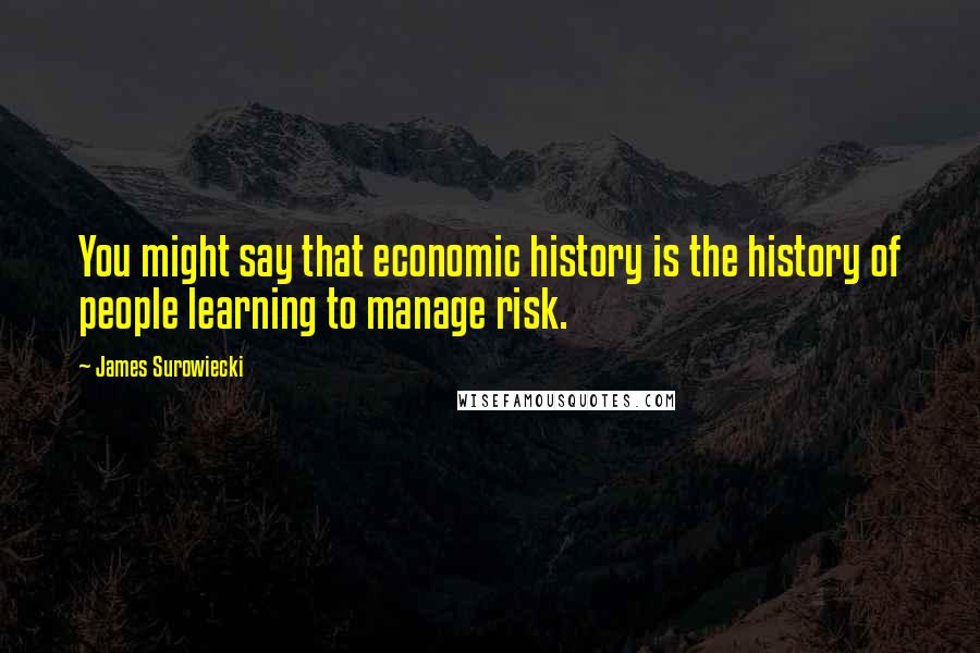 James Surowiecki Quotes: You might say that economic history is the history of people learning to manage risk.