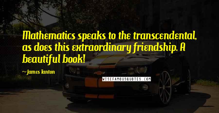 James Tanton Quotes: Mathematics speaks to the transcendental, as does this extraordinary friendship. A beautiful book!