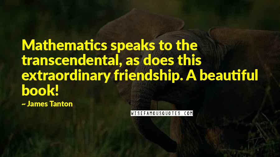 James Tanton Quotes: Mathematics speaks to the transcendental, as does this extraordinary friendship. A beautiful book!