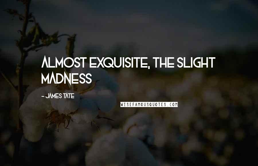 James Tate Quotes: almost exquisite, the slight madness