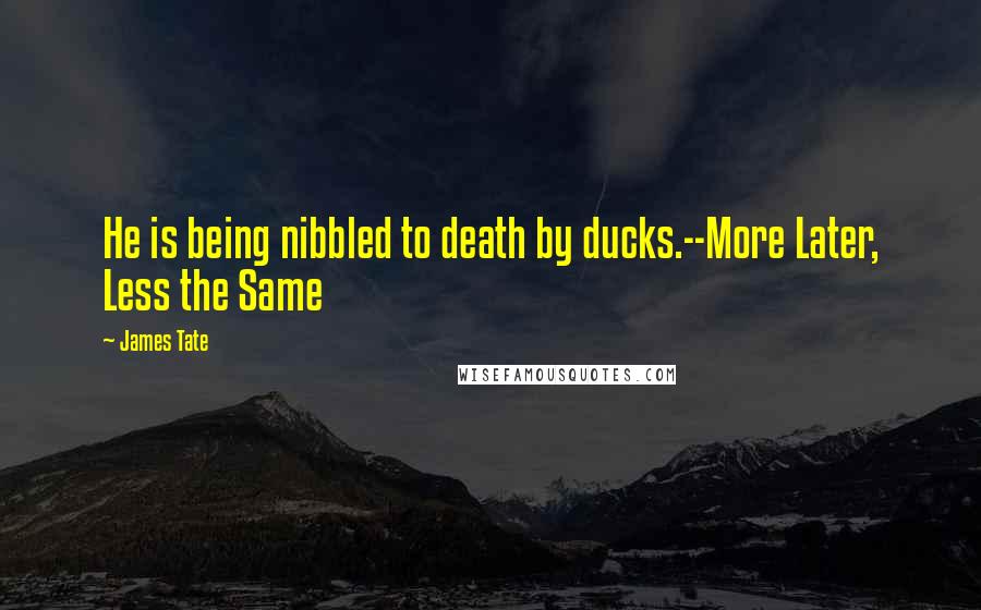 James Tate Quotes: He is being nibbled to death by ducks.--More Later, Less the Same