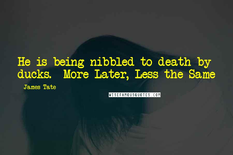 James Tate Quotes: He is being nibbled to death by ducks.--More Later, Less the Same