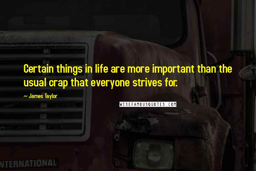 James Taylor Quotes: Certain things in life are more important than the usual crap that everyone strives for.