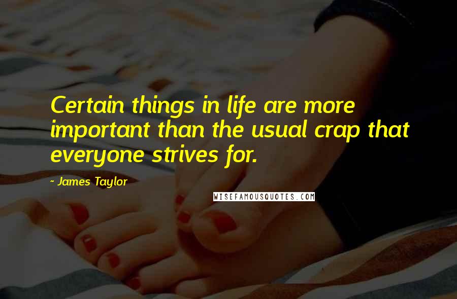 James Taylor Quotes: Certain things in life are more important than the usual crap that everyone strives for.