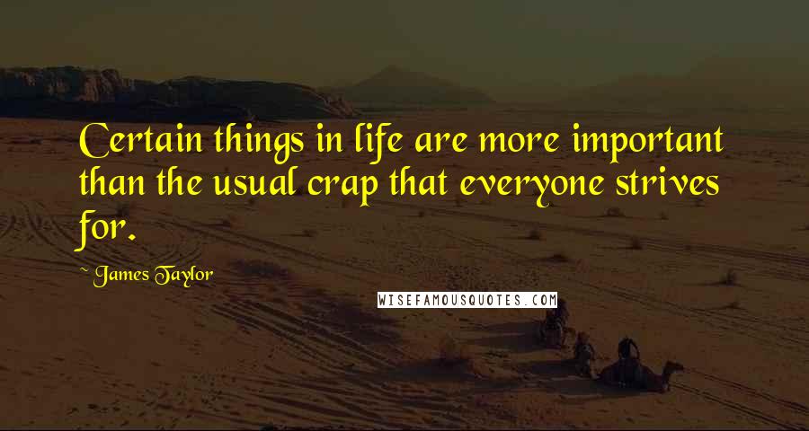 James Taylor Quotes: Certain things in life are more important than the usual crap that everyone strives for.