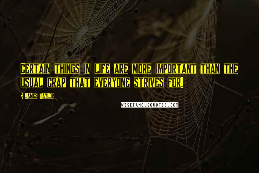 James Taylor Quotes: Certain things in life are more important than the usual crap that everyone strives for.