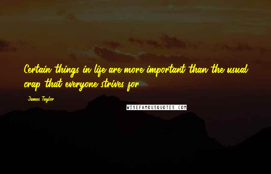 James Taylor Quotes: Certain things in life are more important than the usual crap that everyone strives for.