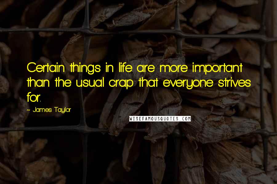 James Taylor Quotes: Certain things in life are more important than the usual crap that everyone strives for.