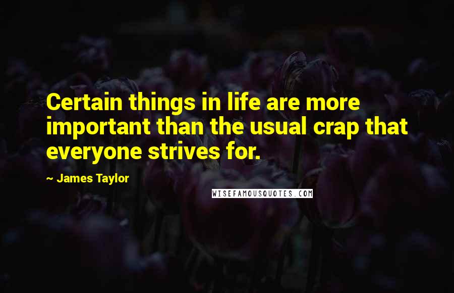 James Taylor Quotes: Certain things in life are more important than the usual crap that everyone strives for.