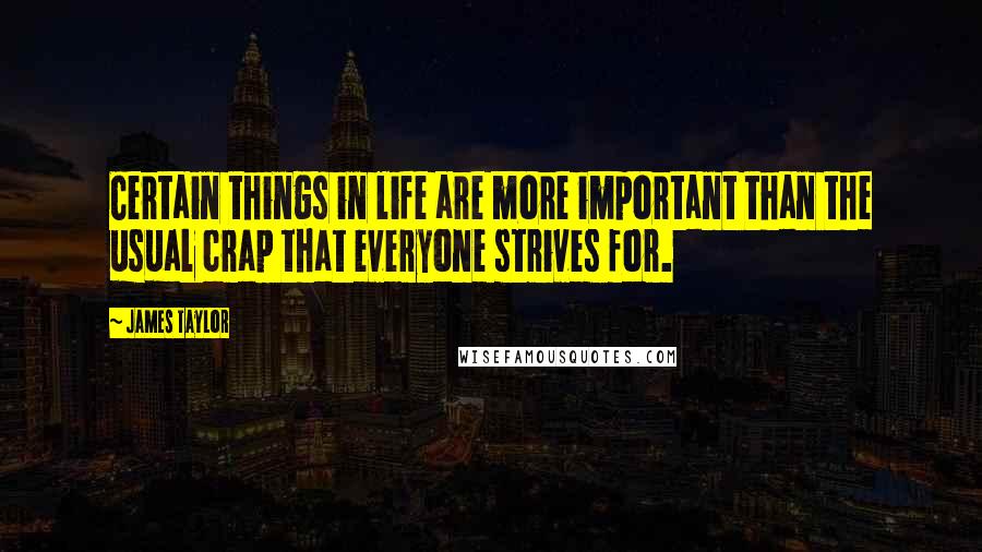 James Taylor Quotes: Certain things in life are more important than the usual crap that everyone strives for.