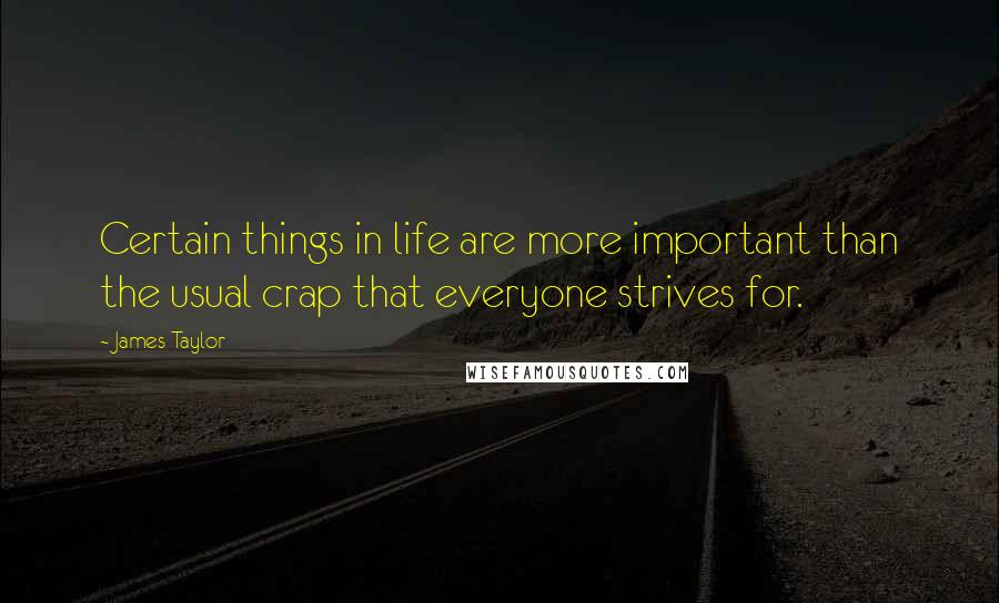 James Taylor Quotes: Certain things in life are more important than the usual crap that everyone strives for.