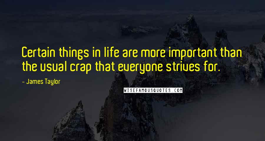 James Taylor Quotes: Certain things in life are more important than the usual crap that everyone strives for.