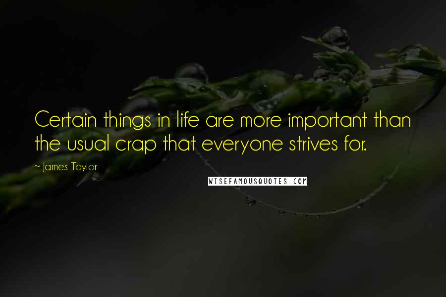 James Taylor Quotes: Certain things in life are more important than the usual crap that everyone strives for.