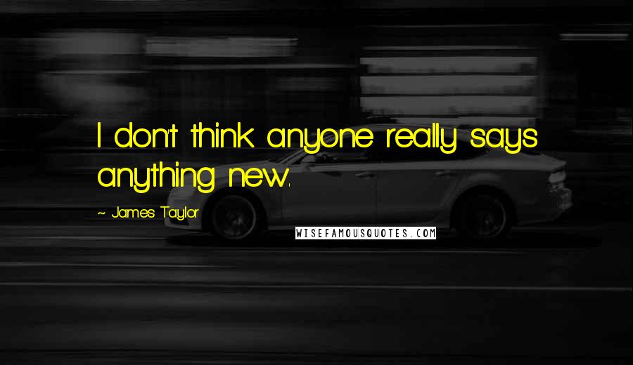 James Taylor Quotes: I don't think anyone really says anything new.