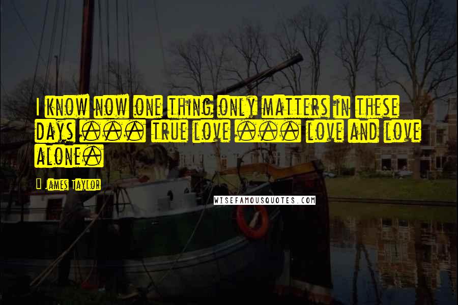 James Taylor Quotes: I know now one thing only matters in these days ... true love ... love and love alone.