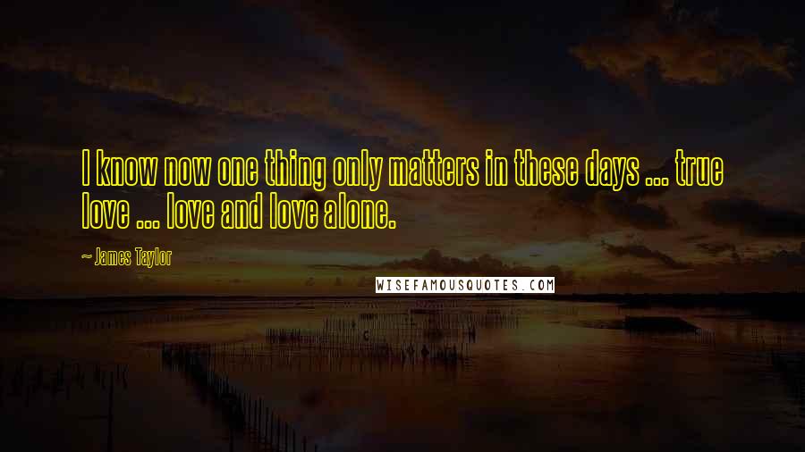 James Taylor Quotes: I know now one thing only matters in these days ... true love ... love and love alone.