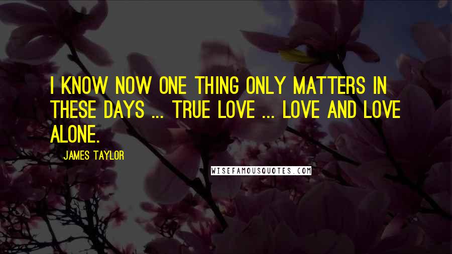 James Taylor Quotes: I know now one thing only matters in these days ... true love ... love and love alone.