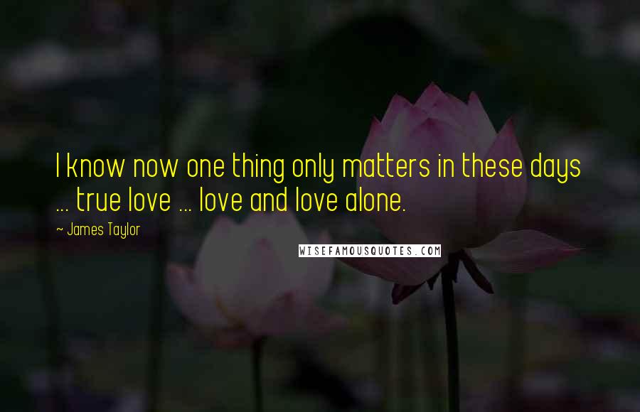 James Taylor Quotes: I know now one thing only matters in these days ... true love ... love and love alone.