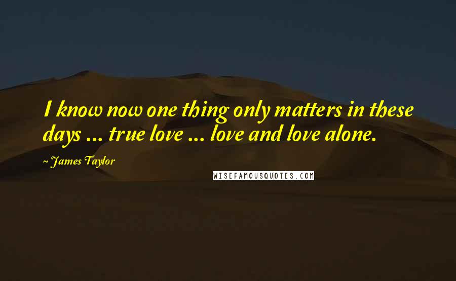 James Taylor Quotes: I know now one thing only matters in these days ... true love ... love and love alone.