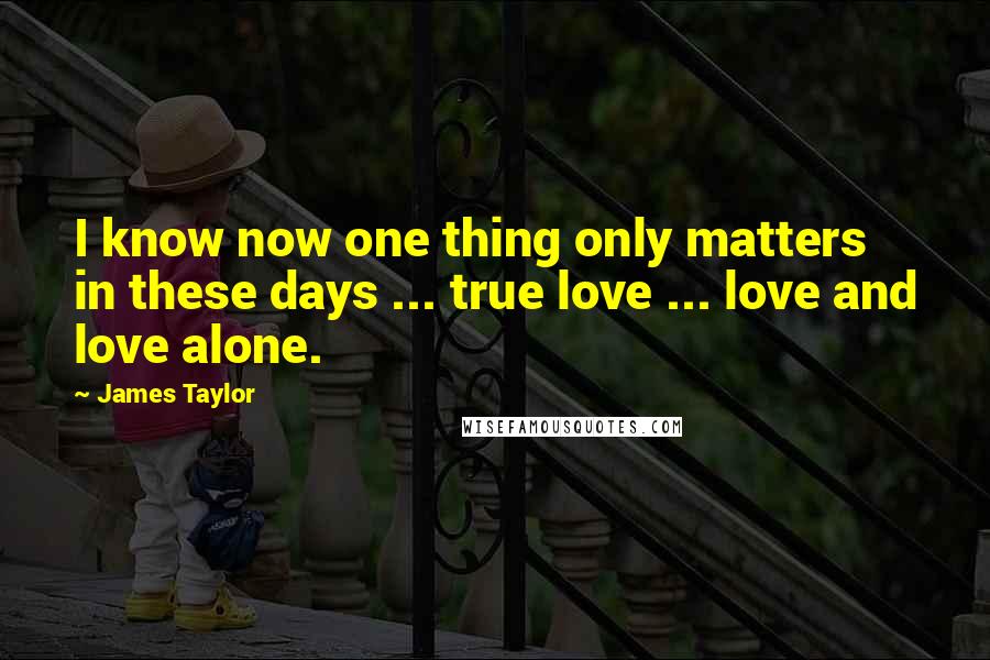 James Taylor Quotes: I know now one thing only matters in these days ... true love ... love and love alone.