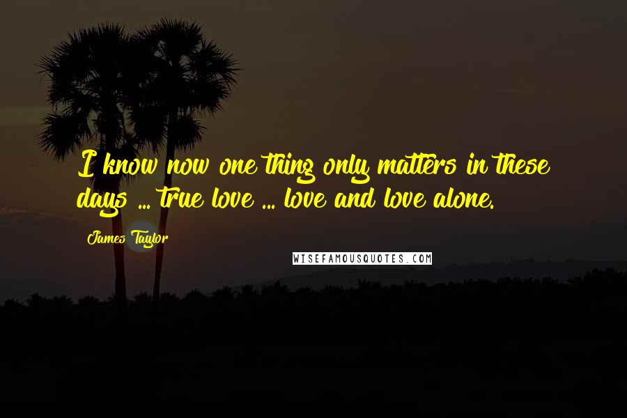 James Taylor Quotes: I know now one thing only matters in these days ... true love ... love and love alone.