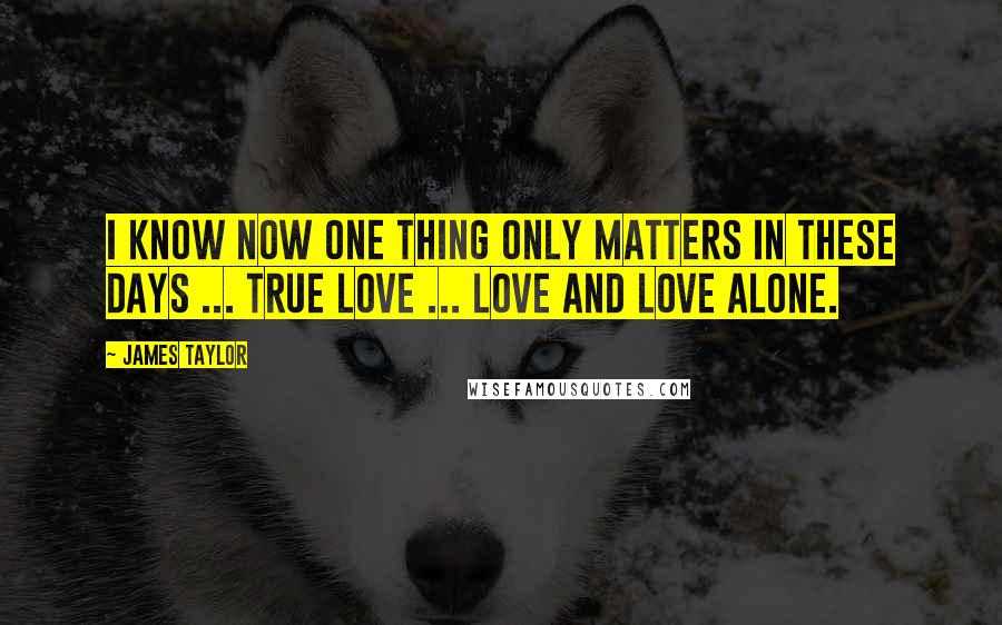 James Taylor Quotes: I know now one thing only matters in these days ... true love ... love and love alone.