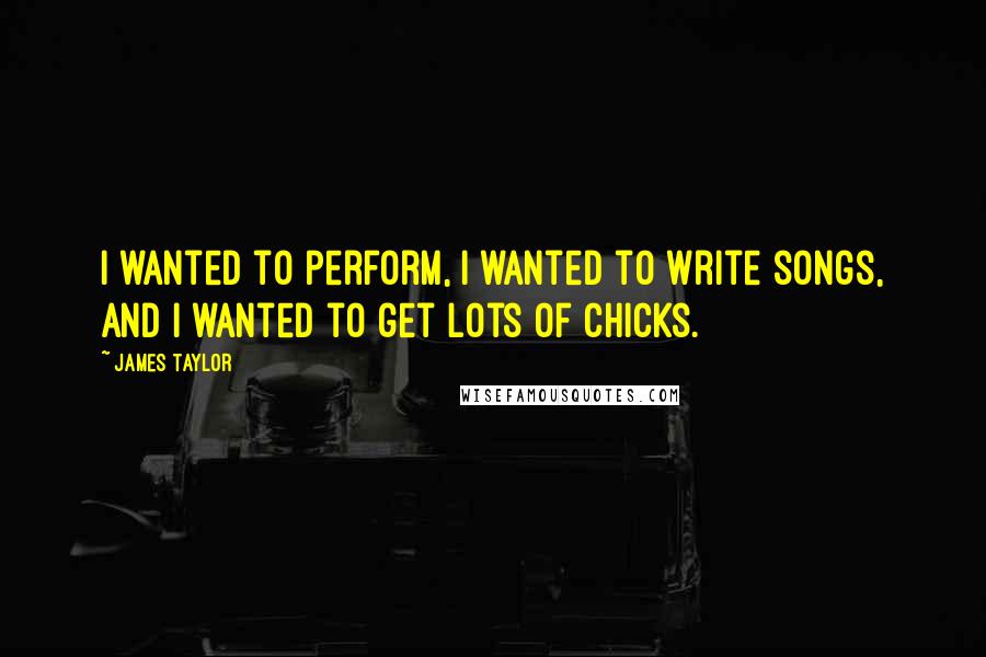 James Taylor Quotes: I wanted to perform, I wanted to write songs, and I wanted to get lots of chicks.