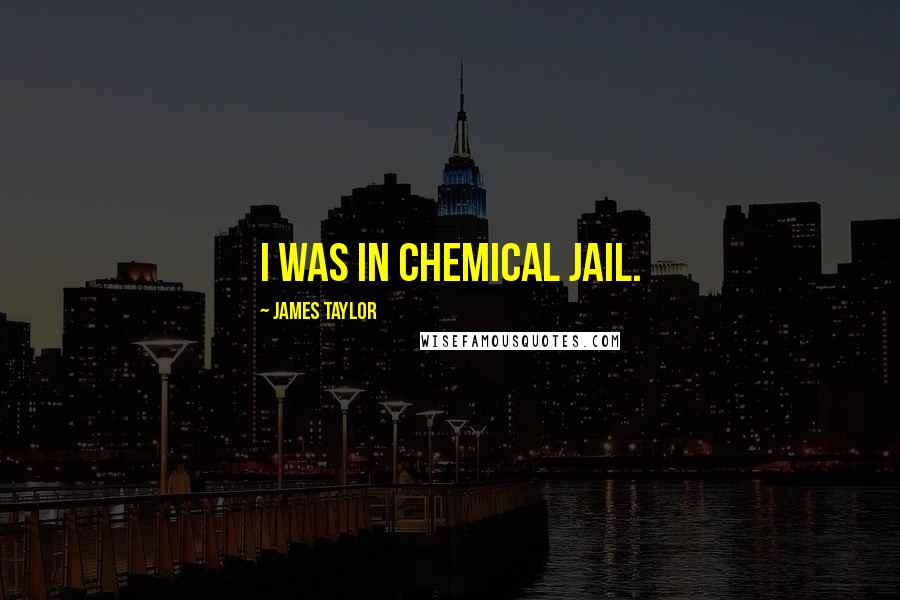 James Taylor Quotes: I was in chemical jail.