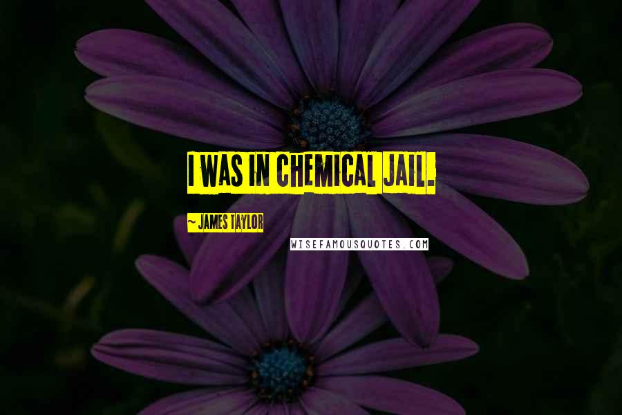James Taylor Quotes: I was in chemical jail.