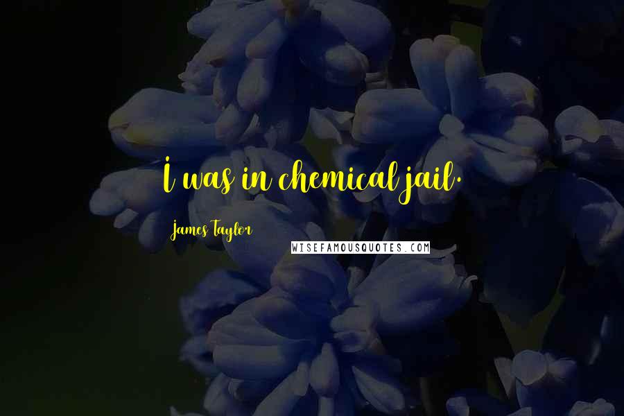 James Taylor Quotes: I was in chemical jail.
