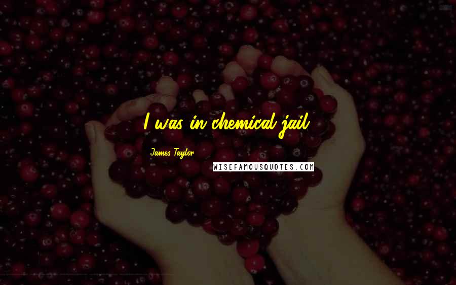 James Taylor Quotes: I was in chemical jail.