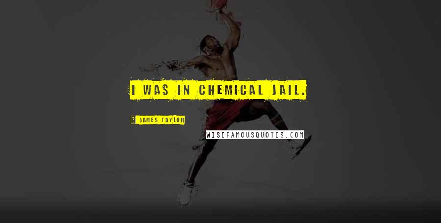 James Taylor Quotes: I was in chemical jail.