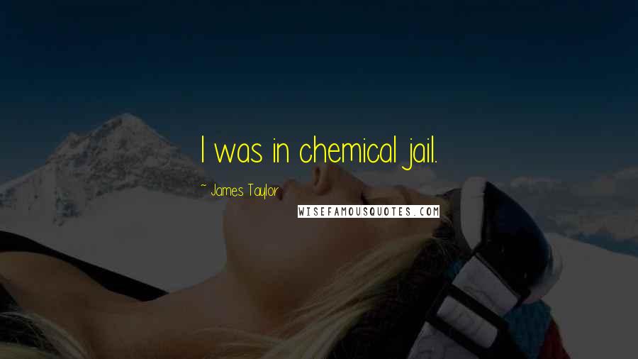 James Taylor Quotes: I was in chemical jail.