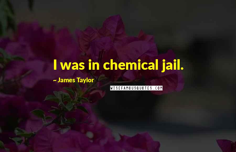James Taylor Quotes: I was in chemical jail.