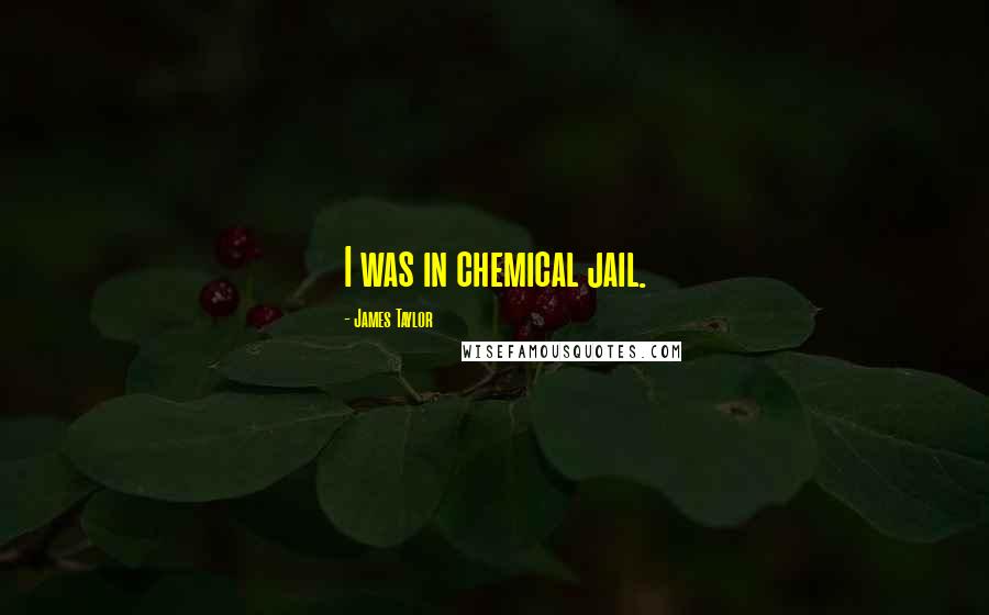 James Taylor Quotes: I was in chemical jail.